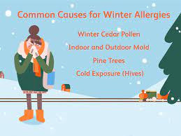 winter allergies north carolina