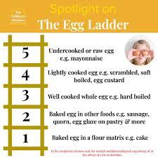 egg ladder for allergies