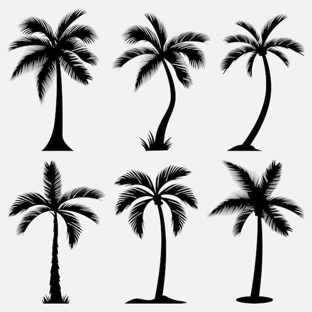 Unveiling the Truth about Palm Tree Allergy: Causes, Symptoms, and ...